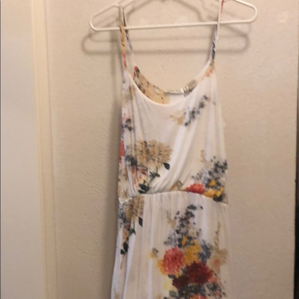 Cotton daisy S